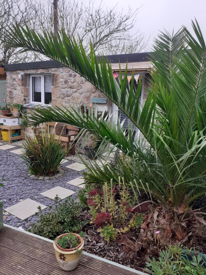 Little Pedn Appartement Penzance Buitenkant foto